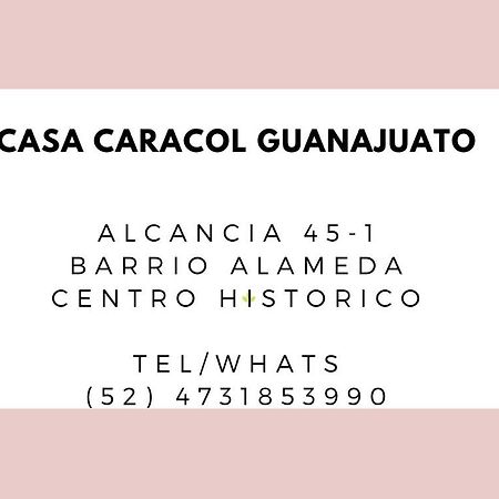 Апарт готель Casa Caracol Гуанахуато Екстер'єр фото
