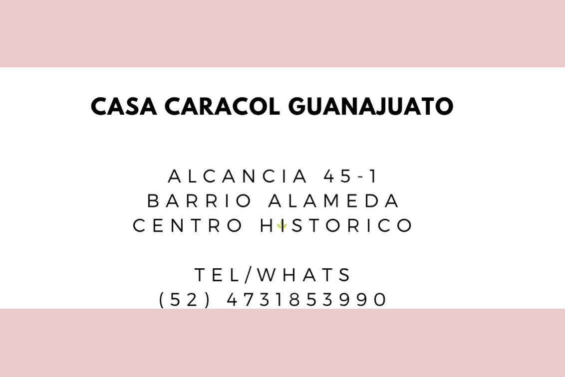 Апарт готель Casa Caracol Гуанахуато Екстер'єр фото